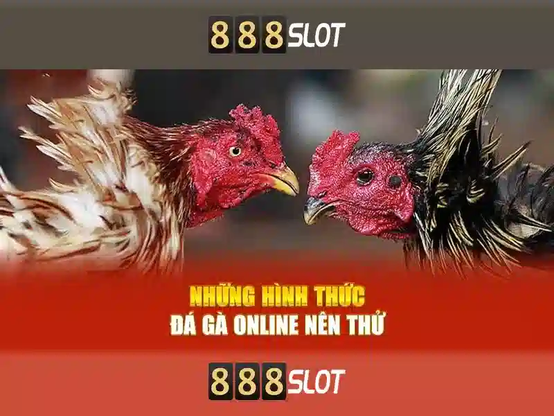 kênh 888slot channel: Trải nghiệm đỉnh cao và uy tín cho người chơi