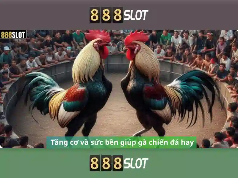 888slot: Nền tảng slot trực tuyến uy tín và giải trí hàng đầu