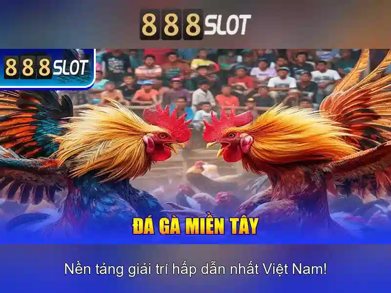888slot: Tổng quan về nền tảng máy đánh bạc trực tuyến